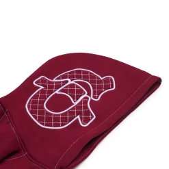 ICONS HOODIE BURNED RED